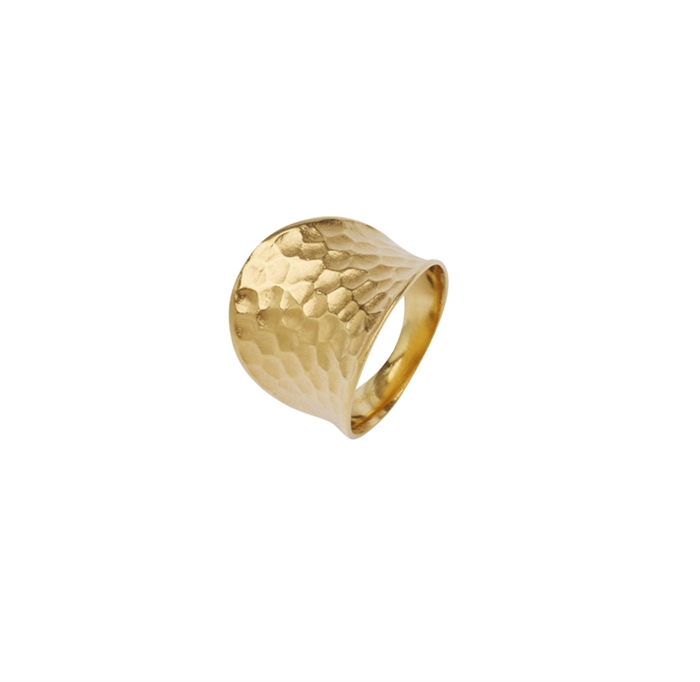 Pico Cleo Ring Forgyldt - Shop Pico Online Her